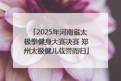 2025年河南省太极拳健身大赛决赛 郑州太极健儿载誉而归