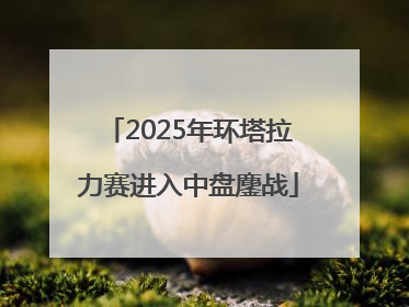 2025年环塔拉力赛进入中盘鏖战
