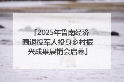 2025年鲁南经济圈退役军人投身乡村振兴成果展销会启幕