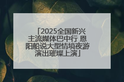 2025全国新兴主流媒体巴中行 恩阳船说大型情境夜游演出璀璨上演