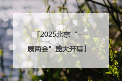2025北京“一展两会”盛大开幕