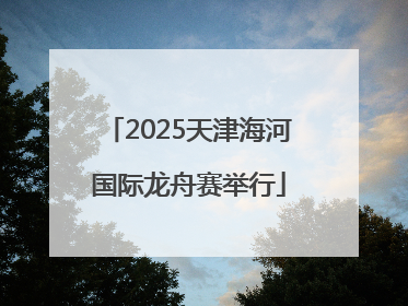 2025天津海河国际龙舟赛举行
