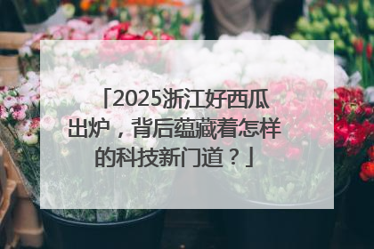 2025浙江好西瓜出炉，背后蕴藏着怎样的科技新门道？