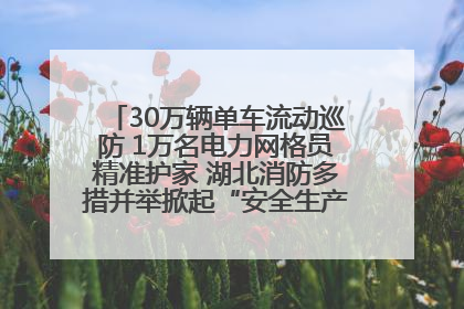 30万辆单车流动巡防 1万名电力网格员精准护家 湖北消防多措并举掀起“安全生产月”宣传热潮