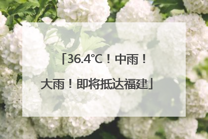 36.4℃！中雨！大雨！即将抵达福建