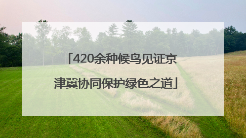 420余种候鸟见证京津冀协同保护绿色之道