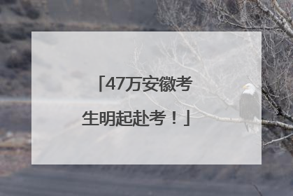 47万安徽考生明起赴考！