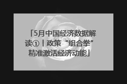 5月中国经济数据解读①丨政策“组合拳”精准激活经济动能