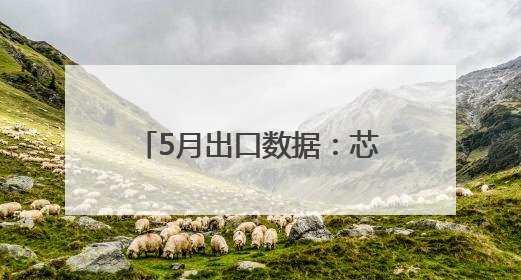 5月出口数据：芯片、船舶继续大涨 手机、家电下滑