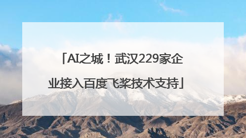 AI之城！武汉229家企业接入百度飞桨技术支持