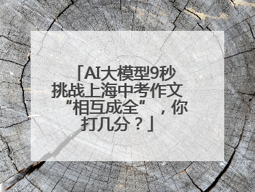 AI大模型9秒挑战上海中考作文“相互成全”，你打几分？