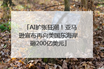 AI扩张狂潮！亚马逊宣布再向美国东海岸砸200亿美元