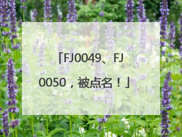 FJ0049、FJ0050，被点名！
