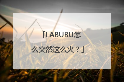 LABUBU怎么突然这么火？