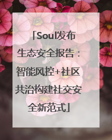 Soul发布生态安全报告：智能风控+社区共治构建社交安全新范式